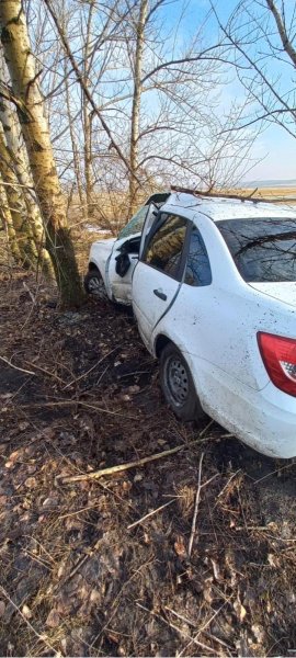 В Хохольском районе полицейские устанавливают обстоятельства съезда автомобиля с дороги